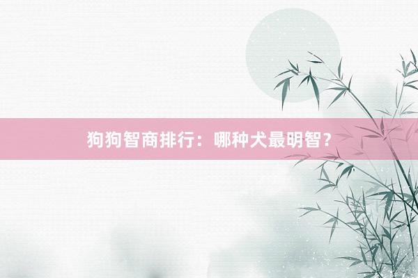 狗狗智商排行：哪种犬最明智？