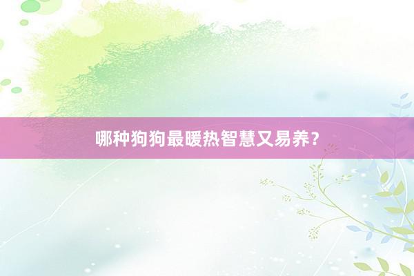 哪种狗狗最暖热智慧又易养？