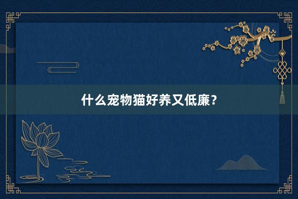 什么宠物猫好养又低廉?